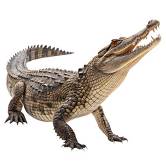 Naklejka premium aggressive crocodile with open mouth isolated on transparent background png, scaly crocodile texture