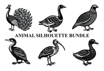 Wild Animal Silhouette Bundle | Safari Wildlife Clipart | Jungle Predator Vector