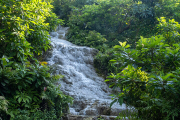  A unique limestone waterfall in Chiang Mai, Thailand, known as the Sticky Waterfall