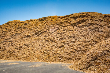 Sawdust piles from logging, heaps of wood shavings and chippings from timber processing.