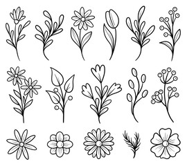 Hand drawn flowers, botanical drawings, floral vector design, botany illustration, flowers isolated clip art, floral line drawing, black and white flower silhouette, foliage vector, flowers doodles