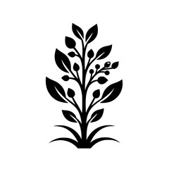 A stark black and white illustration of an ornate plant, featuring stylized leaves, berries, and a detailed silhouette against a clean white background.