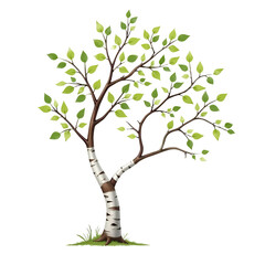 Birch_Tree_Illustration_Green_Leaves_Black_Background