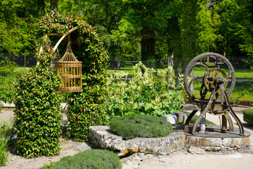 Joli jardin paysager avec pompe &agrave; eau d'antan