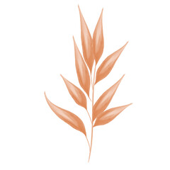 Leaf orange