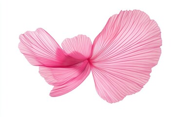 Delicate Pink Petal Abstract Design on White Background
