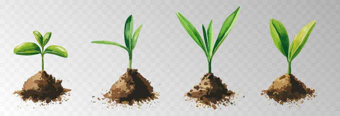 Watercolor PNG set of growing green plants. Infographic elements for planting, tree growth, agriculture, environmental conservation, and reforestation concepts.