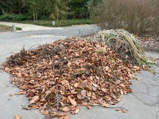 Carefully collected pile of dry autumn leaves on the pavement in a park