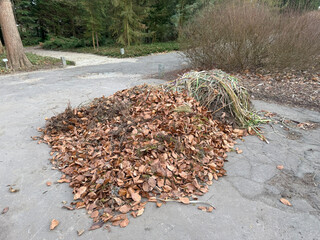 Carefully collected pile of dry autumn leaves on the pavement in a park