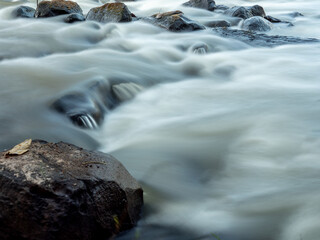 The Early Morning Rapids