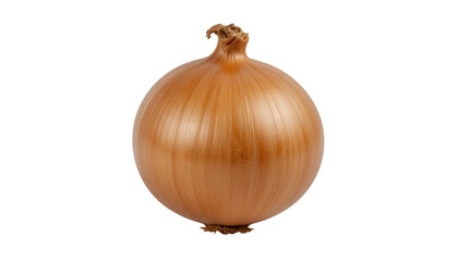 onion isolated