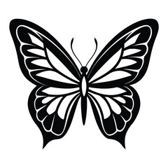 Fototapeta premium black and white butterfly