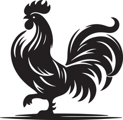 rooster isolated on white