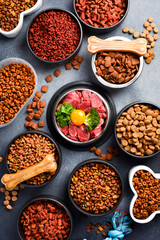 A large selection of food for dogs and cats. Top view. A type of nutritious food.