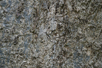 Closeup of a Weathered Stone Wall Surface with Abstract Texture and Natural Patterns
