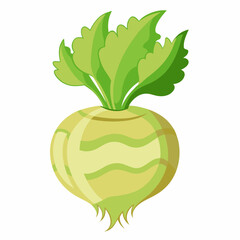 Celeriac vegetable isolated vector