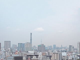 Fototapeta premium 東京の街並み。スカイツリー方面の眺め。イラスト風の写真。