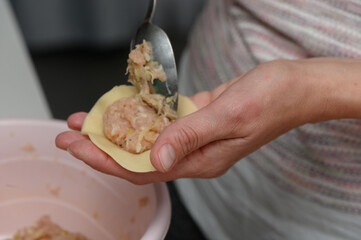Crafting delicious dumplings in a cozy kitchen during a culinary gathering