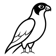 dove of peace