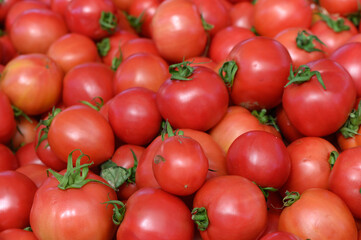 Vibrant red tomatoes glisten in the sunlight at a bustling farmer's market during the summer harvest season