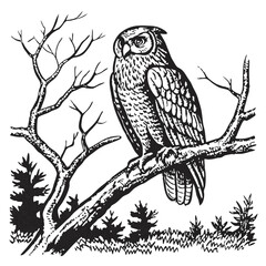 owl on branch