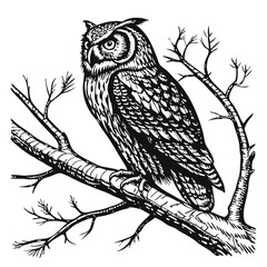 owl on a branch