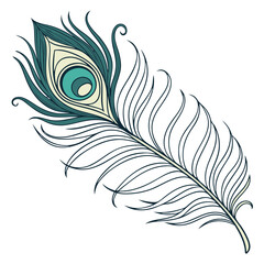 Obraz premium feather vector illustration