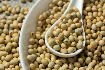 Uncooked soybean seeds in a spoon macro