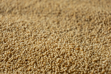 Uncooked Amaranth Seeds. Healthy Gluten-Free Grain Macro