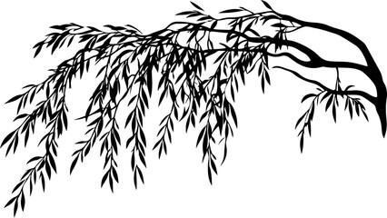 Silhouette of a Willow Branch with Leaves