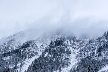 Obraz premium Snowy mountain peaks covered with fog in the Bavarian Alps, Germany