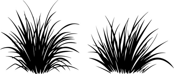 Silhouette Illustration of Grass Clusters