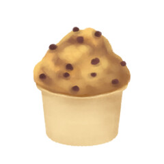 chocolate chip muffin
