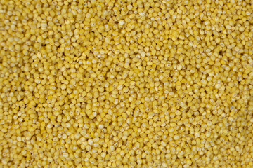 Whole millet grains top view macro