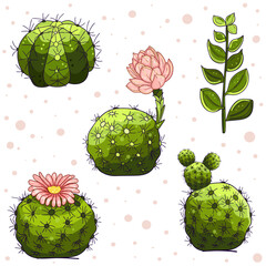 Big set of elements with hand drawn colored cacti and succulents. collection Vector icons cactus Sketch style isolated objects.