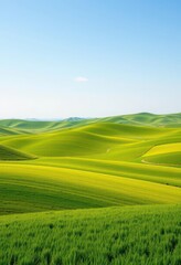 Fototapeta premium Vast, undulating green prairie under a clear sky , quiet, farmland, green