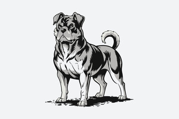 Bull Terrier Black and White Vector