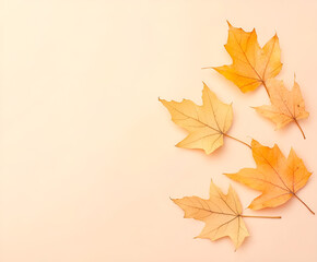 Fototapeta premium Creative autumn composition with golden maple leaves on premium pastel background for product showcase, minimal autumn concept, screen banner with space for text