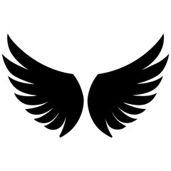 Obraz premium wings vector illustration