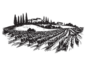 Vineyard landscape sketch black on white

