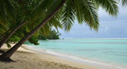 Tropical beach with palm trees under a cloudy sky 