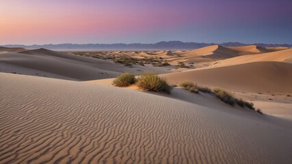 Fototapeta premium A serene desert landscape at sunset with gentle sand dunes and sparse vegetation.