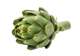 Obraz premium A single green artichoke with tightly packed leaves isolated on transparent background