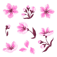 Set of spring flowers. Apple, sakura or cherry blossom. Beautiful decorative blooming plants.