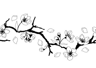 Pattern with spring flowers. Apple, sakura or cherry blossom. Beautiful decorative blooming plants.