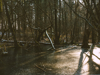 Eisflächen an einem dunklem Waldsee im Winter