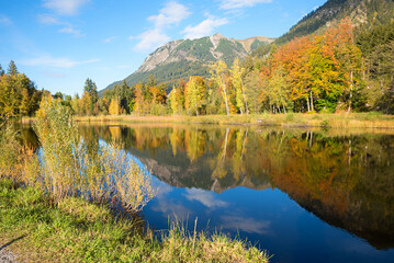 pictorial lake Moorweiher near Oberstdorf, colorful trees reflecting in the water. allgau landscape