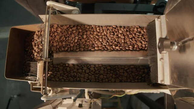 Top view shot of metallic coffee bean processing machine with conveyor belt guiding beans through brushes in coffee roasting plant