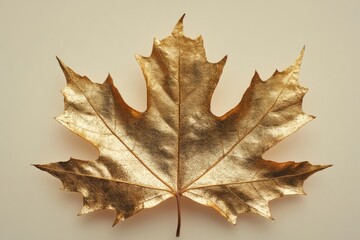 Naklejka premium Golden maple leaf displayed on a neutral background showcasing intricate details and texture