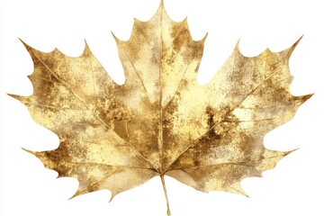 Naklejka premium Golden maple leaf showcasing intricate details of texture and color during autumn in a serene outdoor setting